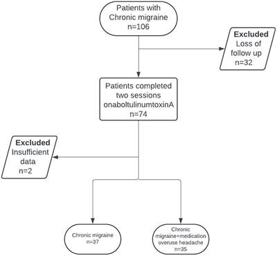 The effectiveness and predictors influencing the outcome of onabotulinumtoxinA treatment in chronic migraine: understanding from diverse patient profiles in a single session